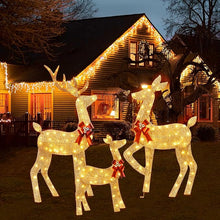 YULETIME 3-Piece Pre-Lit Glitter Christmas Reindeer Family Decoration with Warm White LED Lights, 2D Holiday Décor Set